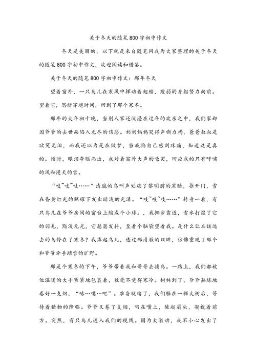 哀伤冬季随笔范文