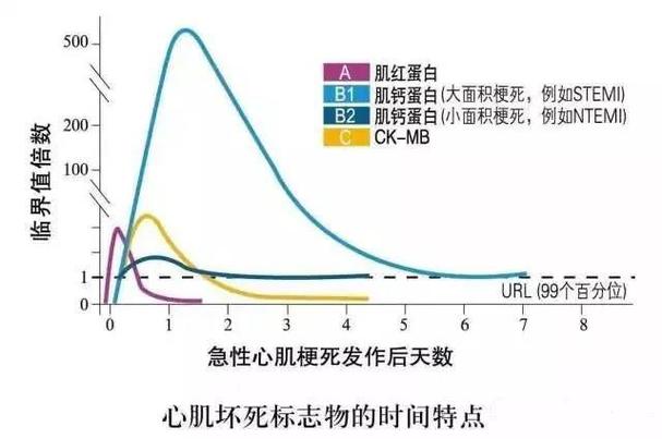 鞘内注射T0901317抑制神经炎症和胶质细胞活化减轻CCI诱导的神经病理性疼痛