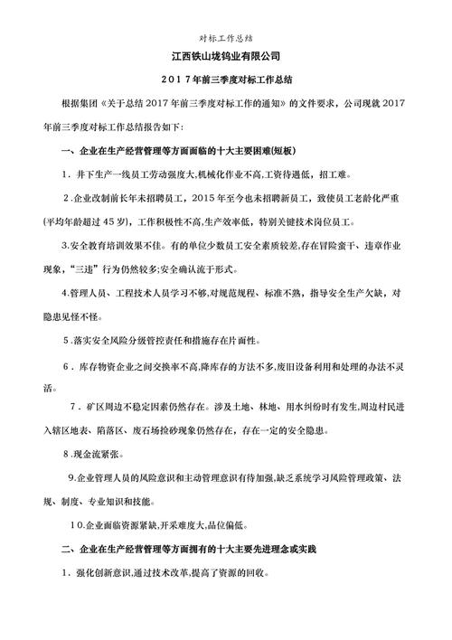 安全对标实施总结