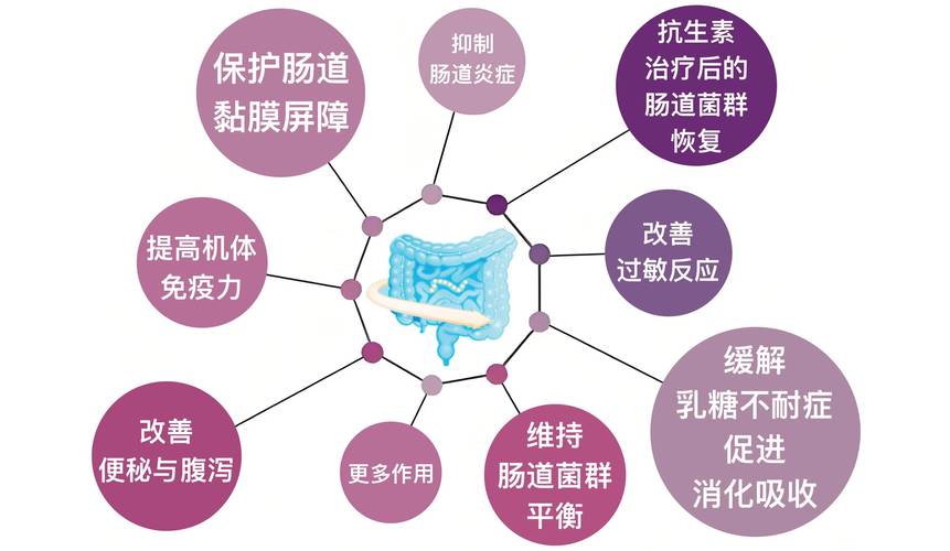 肠球菌耐药性分析及其耐药机制研究现状