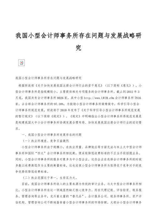 小型会计事务所生存发展的探讨