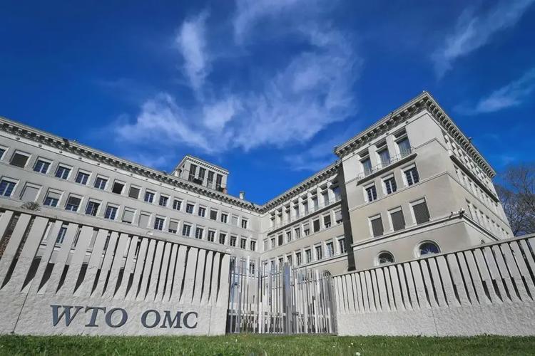 温州百鹿国际贸易有限公司外贸业务现状分析和前景展望