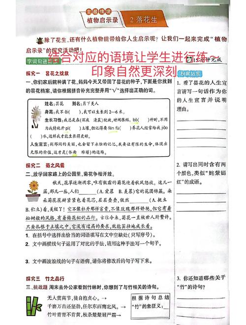 浅谈语文教学中如何调动学生的情感因素