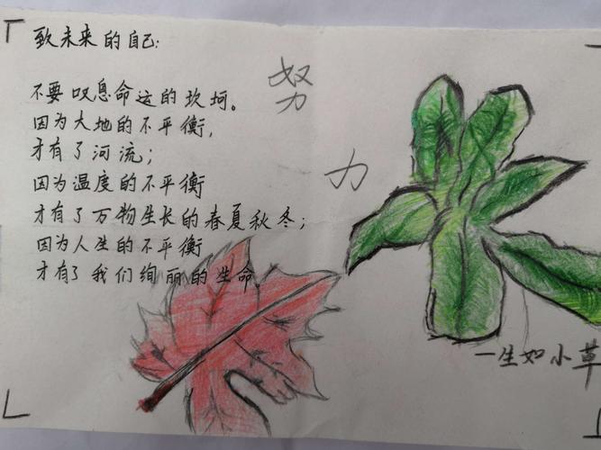 巧用积分卡,培养学生健康的心理素质