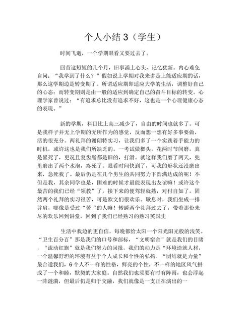 个人小结（学生）