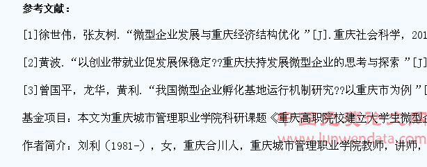 重庆高职院校大学生微型企业运行模式探索与研究